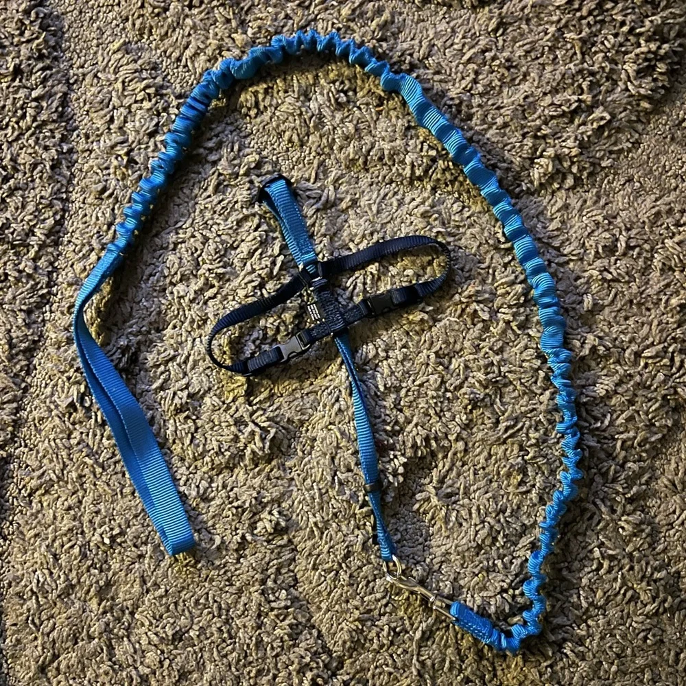 PetSafe Gentle Leader Come w Me Kitty Harness & Bungee Leash Size M/L